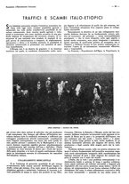 giornale/CFI0525499/1936/unico/00000395