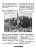 giornale/CFI0525499/1936/unico/00000396