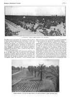 giornale/CFI0525499/1936/unico/00000637