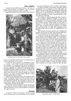 giornale/CFI0525499/1936/unico/00000648