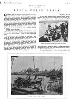 giornale/CFI0525499/1936/unico/00000653