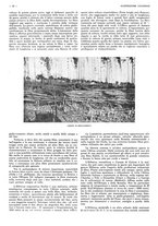 giornale/CFI0525499/1937/unico/00000124