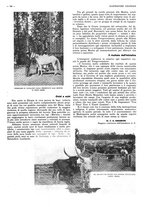 giornale/CFI0525499/1937/unico/00000248