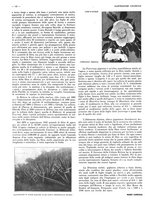 giornale/CFI0525499/1937/unico/00000262