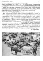 giornale/CFI0525499/1937/unico/00000367