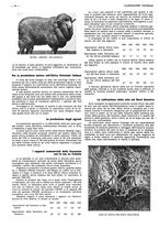 giornale/CFI0525499/1937/unico/00000524
