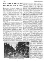 giornale/CFI0525499/1937/unico/00000534