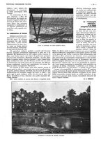 giornale/CFI0525499/1937/unico/00000595