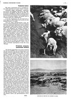 giornale/CFI0525499/1937/unico/00000787
