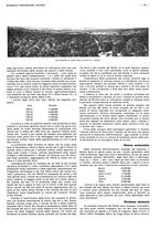 giornale/CFI0525499/1937/unico/00000789