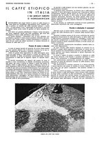 giornale/CFI0525499/1937/unico/00000793