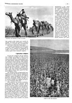 giornale/CFI0525499/1937/unico/00000861