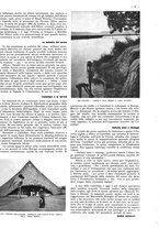 giornale/CFI0525499/1938/unico/00000053