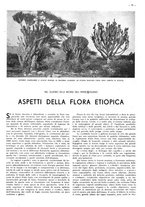 giornale/CFI0525499/1938/unico/00000155