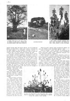 giornale/CFI0525499/1938/unico/00000156