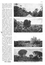 giornale/CFI0525499/1938/unico/00000157