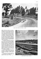 giornale/CFI0525499/1938/unico/00000161