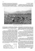 giornale/CFI0525499/1938/unico/00000180