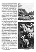 giornale/CFI0525499/1938/unico/00000265