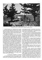 giornale/CFI0525499/1938/unico/00000417