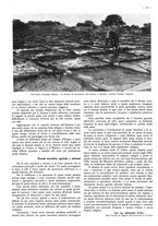 giornale/CFI0525499/1938/unico/00000419