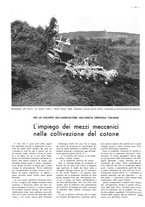 giornale/CFI0525499/1938/unico/00000429