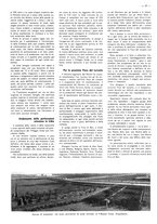 giornale/CFI0525499/1938/unico/00000437