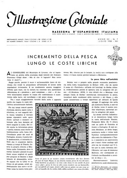 L'illustrazione coloniale