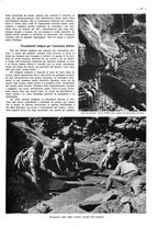 giornale/CFI0525499/1938/unico/00000647