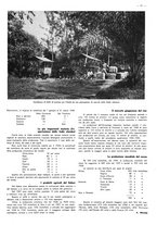 giornale/CFI0525499/1938/unico/00000651