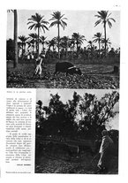 giornale/CFI0525499/1938/unico/00000725