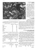 giornale/CFI0525499/1938/unico/00000746