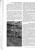 giornale/CFI0525499/1938/unico/00000956