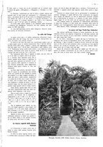 giornale/CFI0525499/1938/unico/00000977