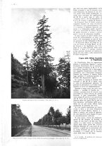 giornale/CFI0525499/1939/unico/00000328