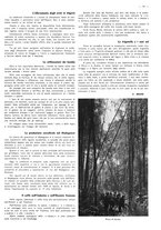 giornale/CFI0525499/1939/unico/00000331