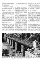 giornale/CFI0525499/1939/unico/00000501