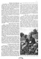 giornale/CFI0525499/1941/unico/00000027