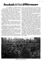 giornale/CFI0525499/1941/unico/00000037