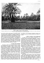 giornale/CFI0525499/1941/unico/00000097