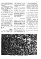 giornale/CFI0525499/1941/unico/00000101