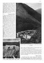 giornale/CFI0525499/1941/unico/00000215