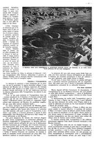 giornale/CFI0525499/1941/unico/00000287