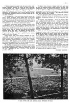 giornale/CFI0525499/1941/unico/00000289