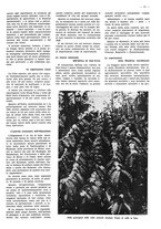 giornale/CFI0525499/1941/unico/00000347