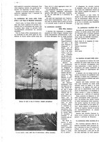 giornale/CFI0525499/1941/unico/00000348
