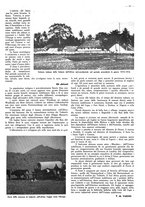 giornale/CFI0525499/1941/unico/00000627