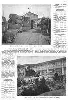 giornale/CFI0525499/1942/unico/00000163