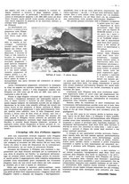 giornale/CFI0525499/1942/unico/00000239