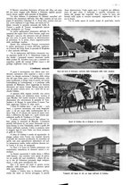 giornale/CFI0525499/1942/unico/00000391